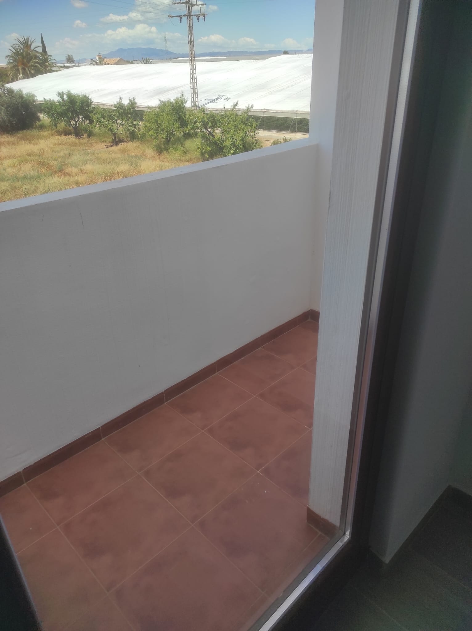 50036_WhatsApp Image 2025-05-22 at 18.50.18.jpeg